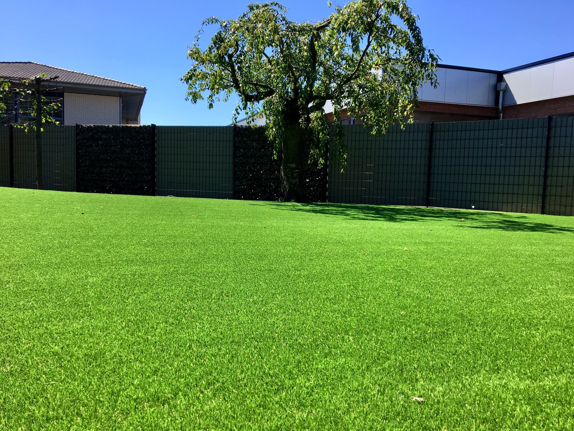  Scarifying Grass  thumbnail